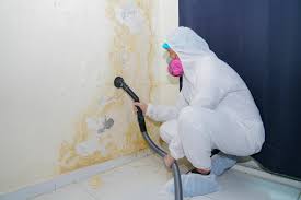 Why You Should Choose Our Mold Remediation Services in East Flat Rock, NC